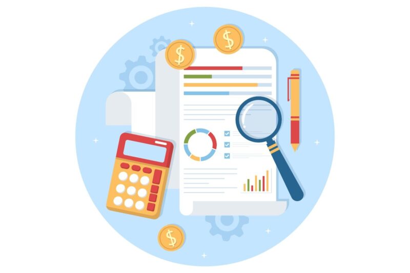 CIBIL customer report