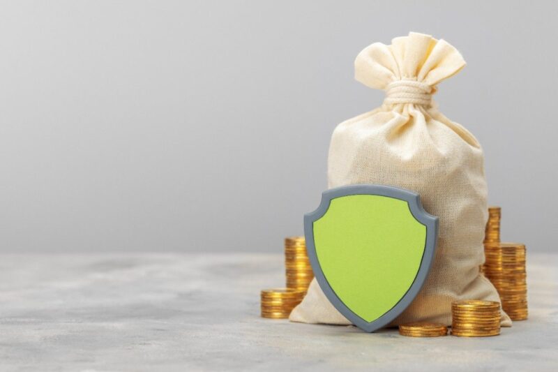 What is credit shield protection?